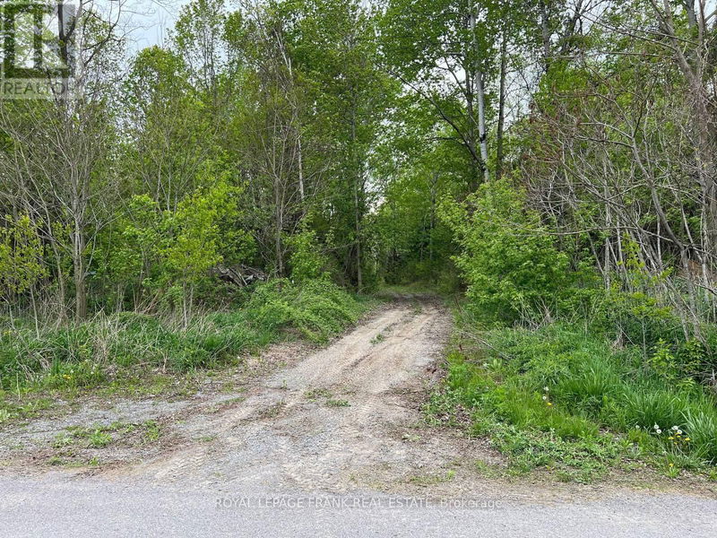 . Rutherford Road  Alnwick/Haldimand (Grafton), K0K1S0 | Image 13