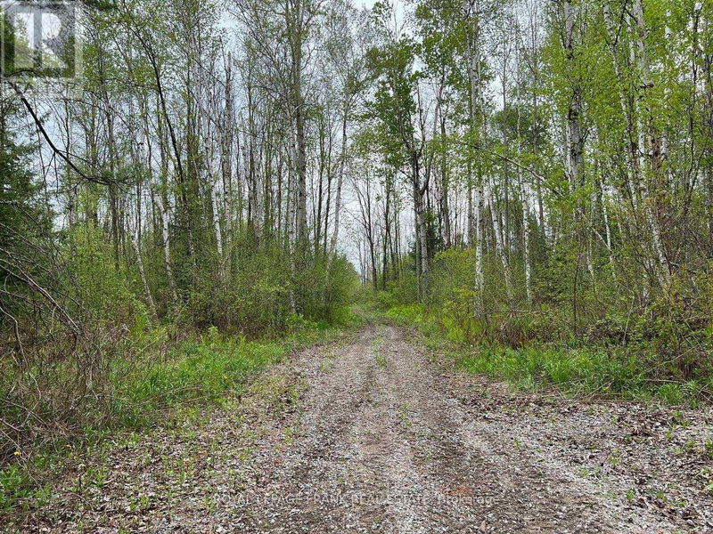 . Rutherford Road  Alnwick/Haldimand (Grafton), K0K1S0 | Image 17