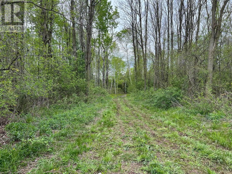 . Rutherford Road  Alnwick/Haldimand (Grafton), K0K1S0 | Image 7