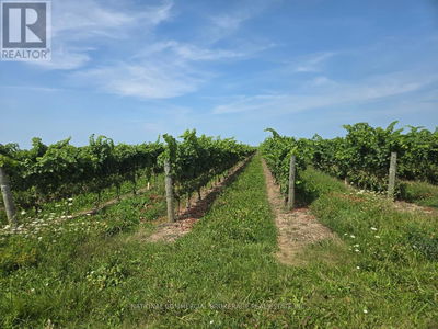 Farms for Sale