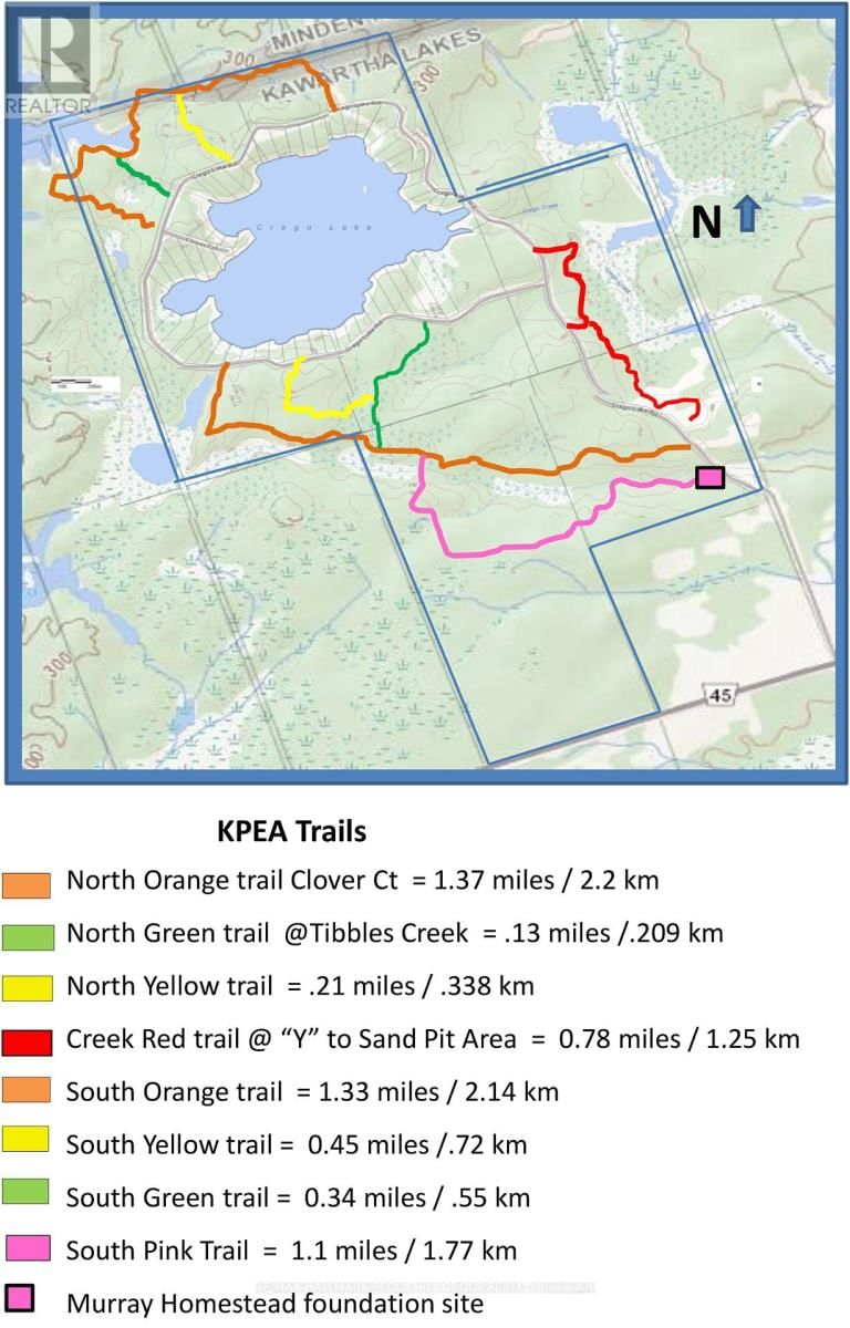 4 Clover Court  Kawartha Lakes, K0M2A0 | Image 29