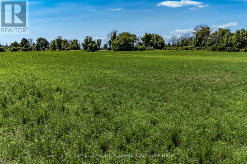 Lot 17 South Big Island Road  Prince Edward County (South Marysburgh), K0K1W0 | Image 22