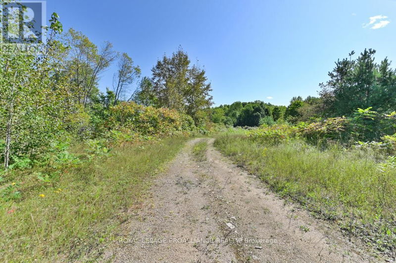  A - 2839A Ardoch Road  North Frontenac, K0H1J0 | Image 4