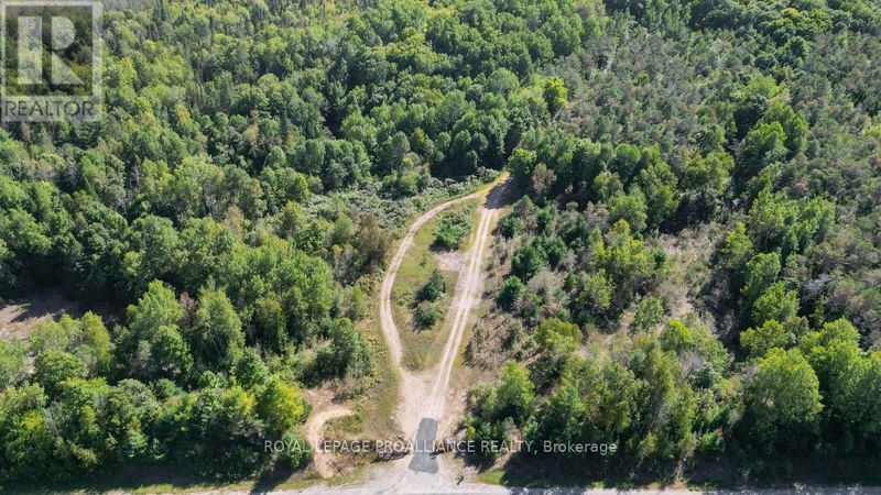  A - 2839A Ardoch Road  North Frontenac, K0H1J0 | Image 9