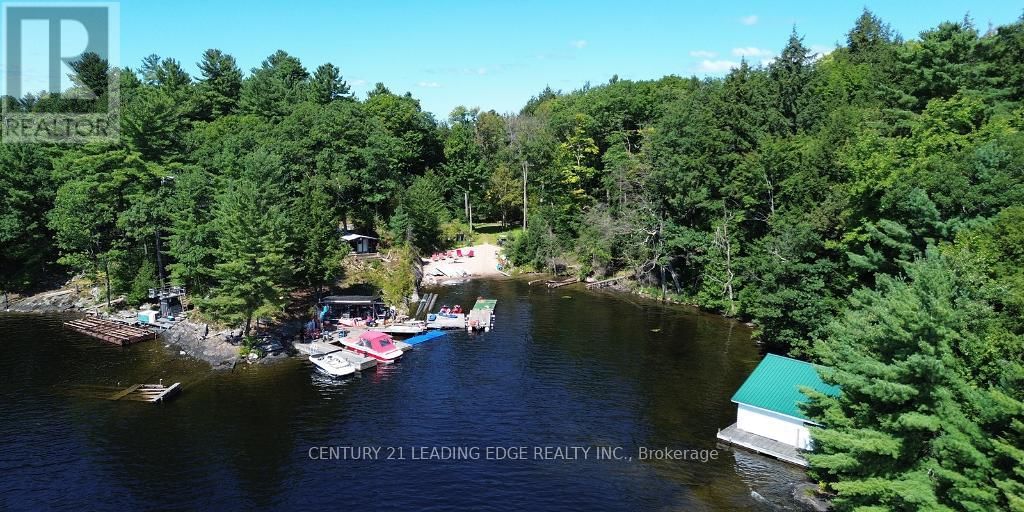 2077 LAKE MUSKOKA Image 3