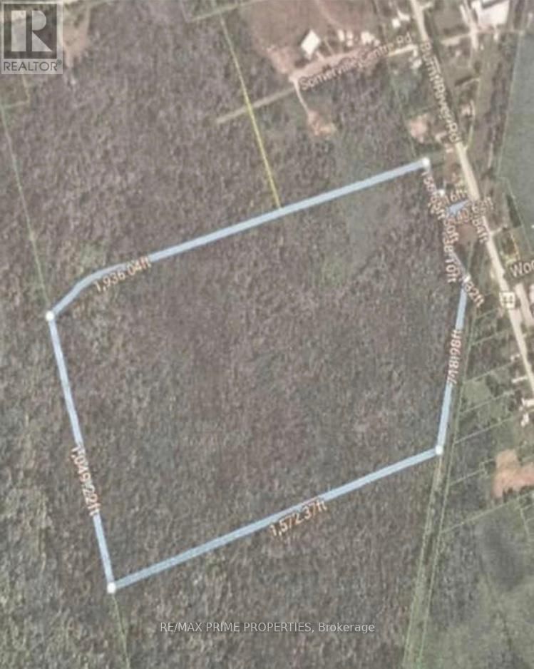 Primary Property View