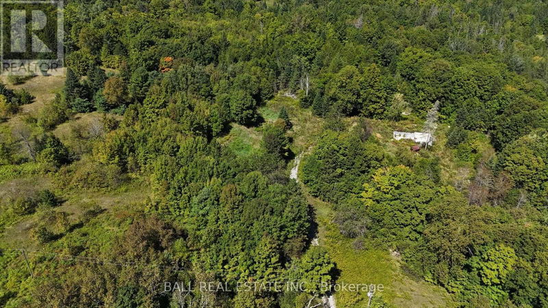 1624 County Road 620 null  North Kawartha, K0L1A0 | Image 3