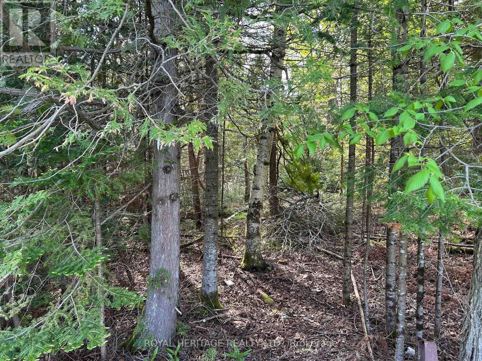 810 4TH LINE Image 11