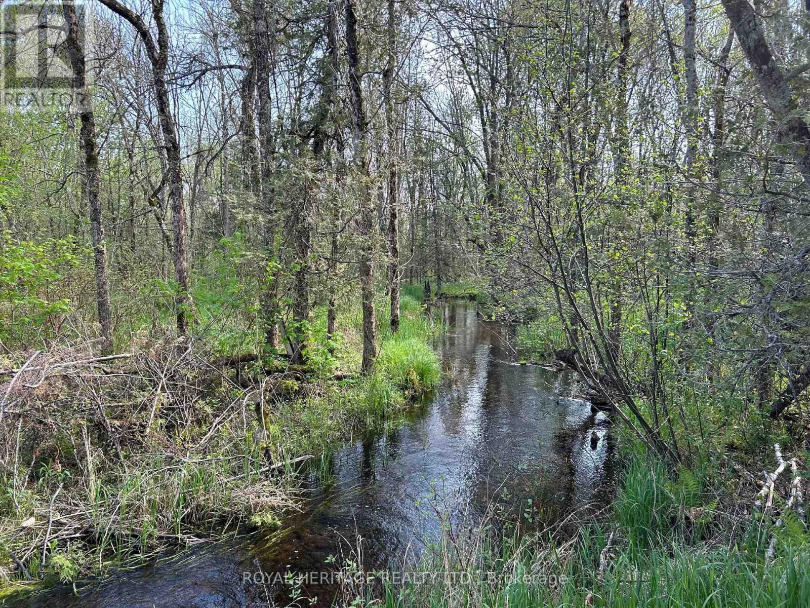 810 4TH LINE Image 5