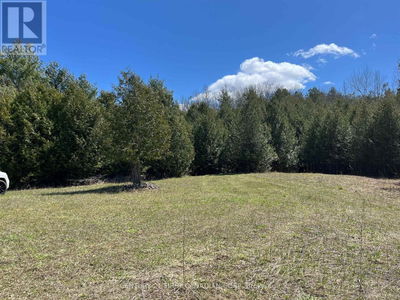 LOT 10 10th SIDEROAD NDR null  West Grey, N0G1L0 | Image 1