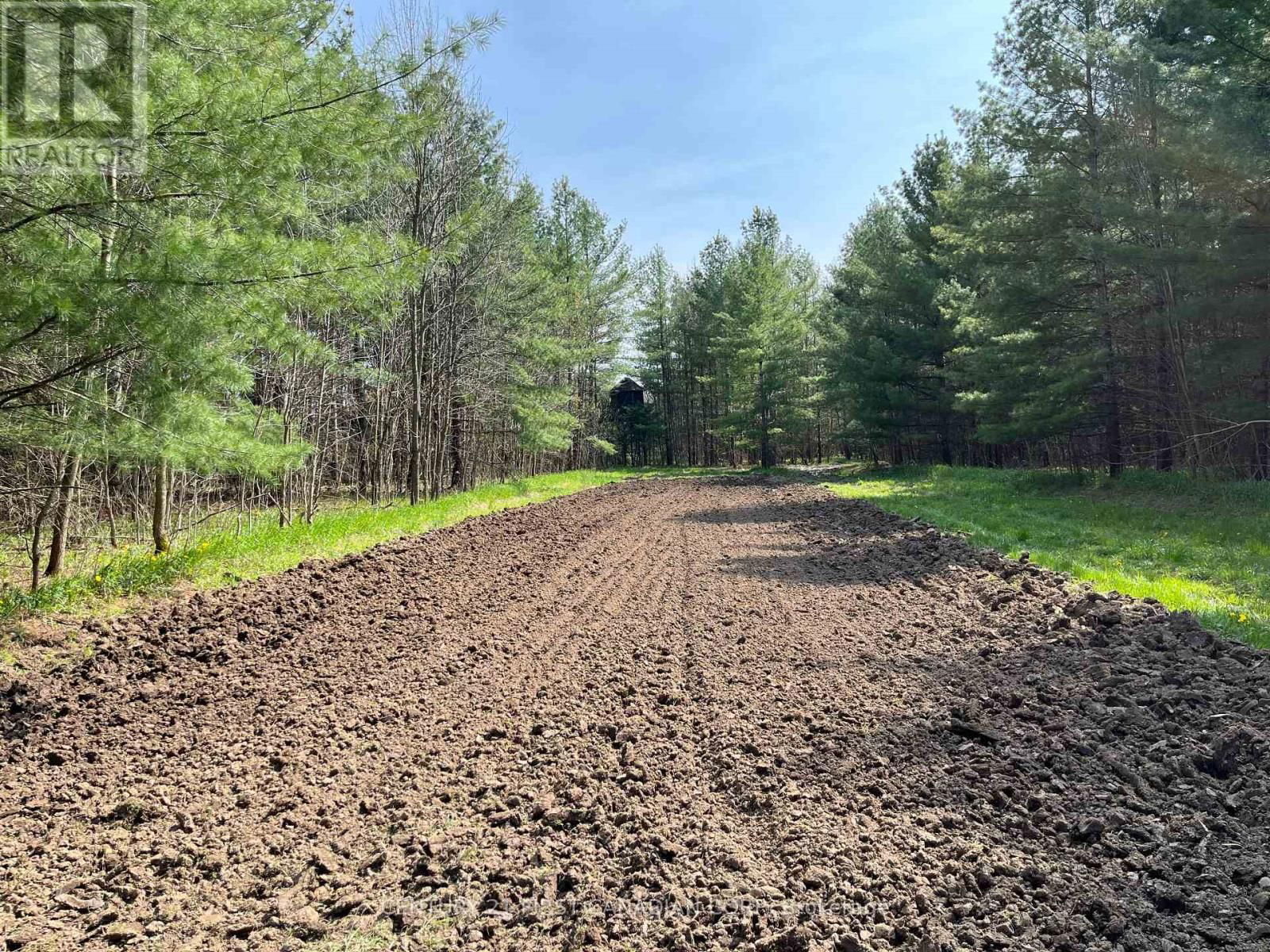 LOT 10 10TH SIDEROAD NDR Image 9