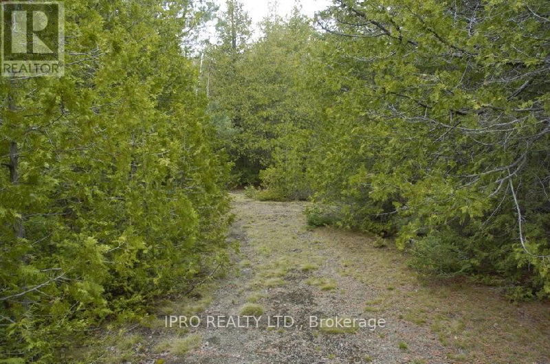 308 Ira Lake Road  Northern Bruce Peninsula, N0H1W0 | Image 10