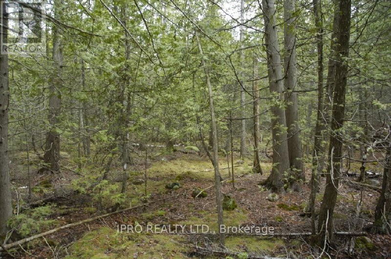 308 Ira Lake Road  Northern Bruce Peninsula, N0H1W0 | Image 6