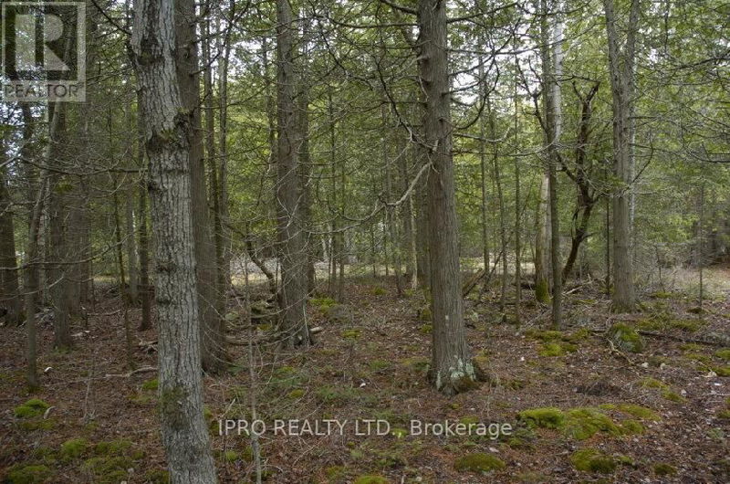 308 Ira Lake Road  Northern Bruce Peninsula, N0H1W0 | Image 7