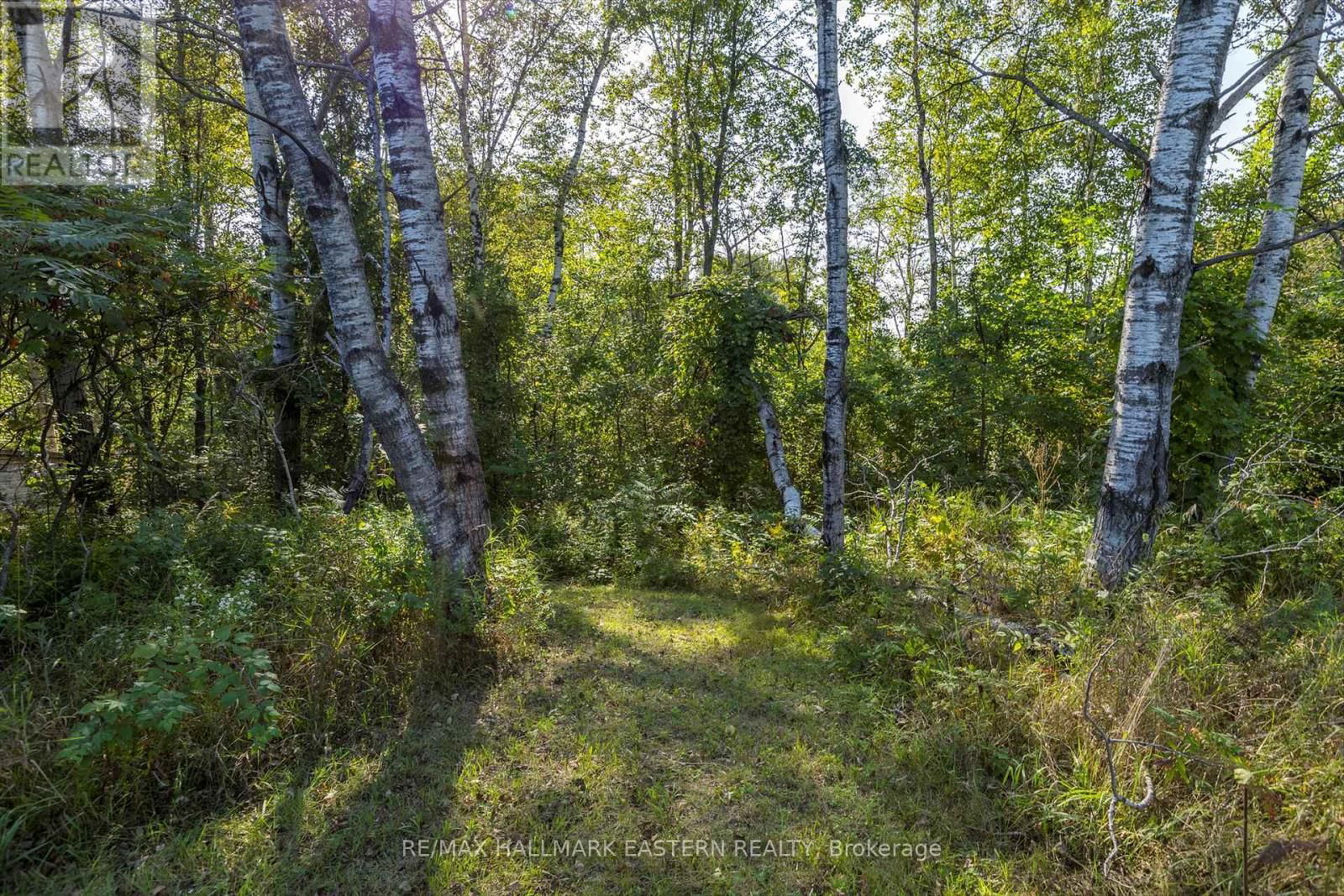 LOT 13 TRENT RIVER ROAD Image 17