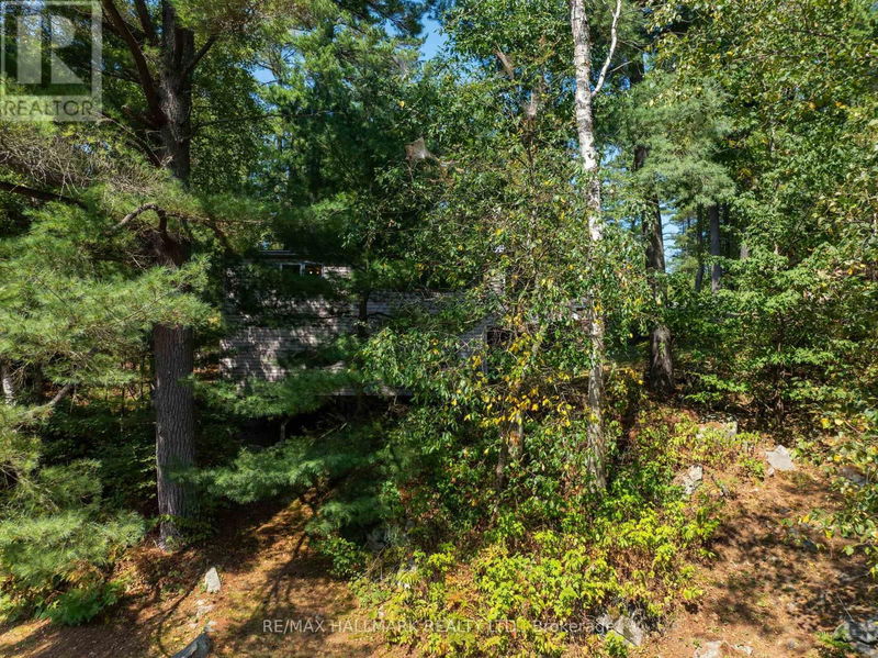 53B Forest Access Road  Parry Sound Remote Area, P0G0A1 | Image 26