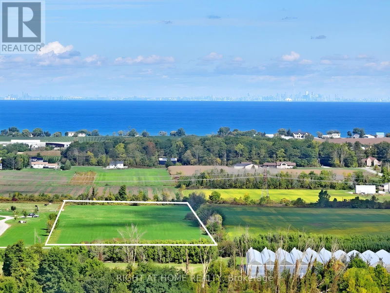 Tertiary Property View