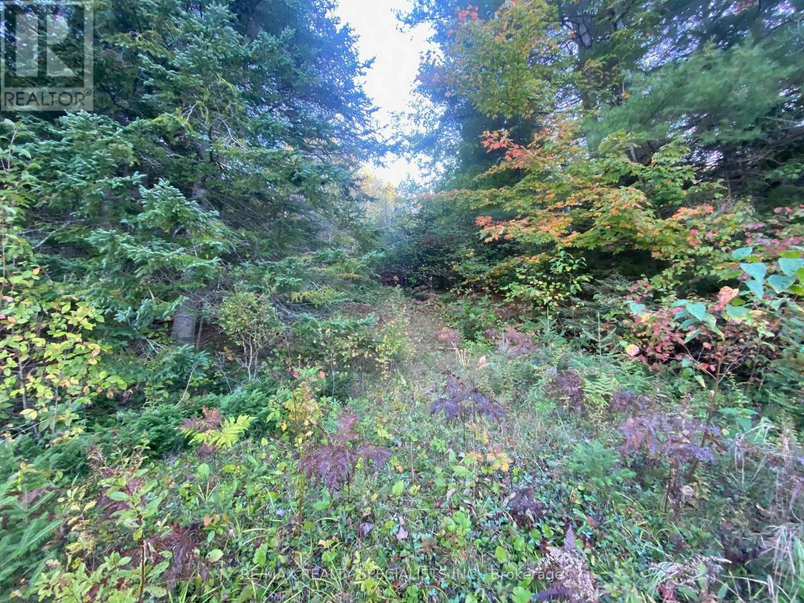 1027 SQUALL TRAIL Image 3