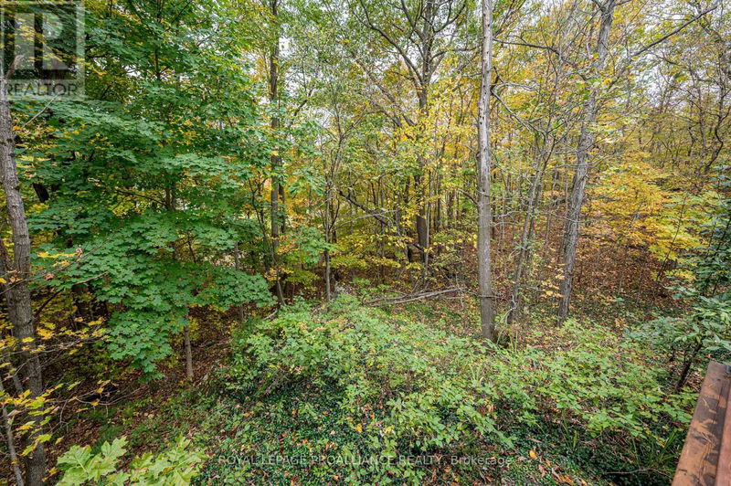 2054 Burnt Hills Road  South Frontenac, K0H1H0 | Image 18