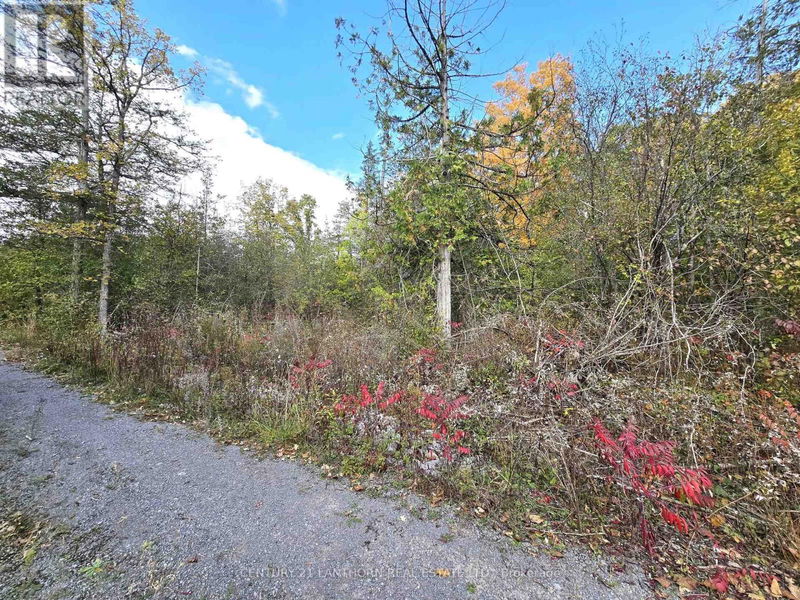 0 Melrose Road  Tyendinaga, K0K2N0 | Image 11