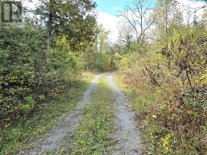 0 Melrose Road  Tyendinaga, K0K2N0 | Image 4