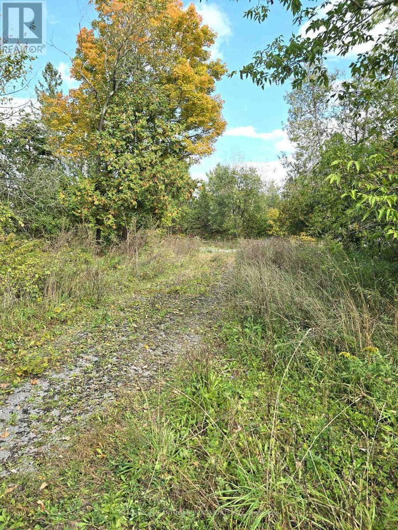 0 Melrose Road  Tyendinaga, K0K2N0 | Image 9