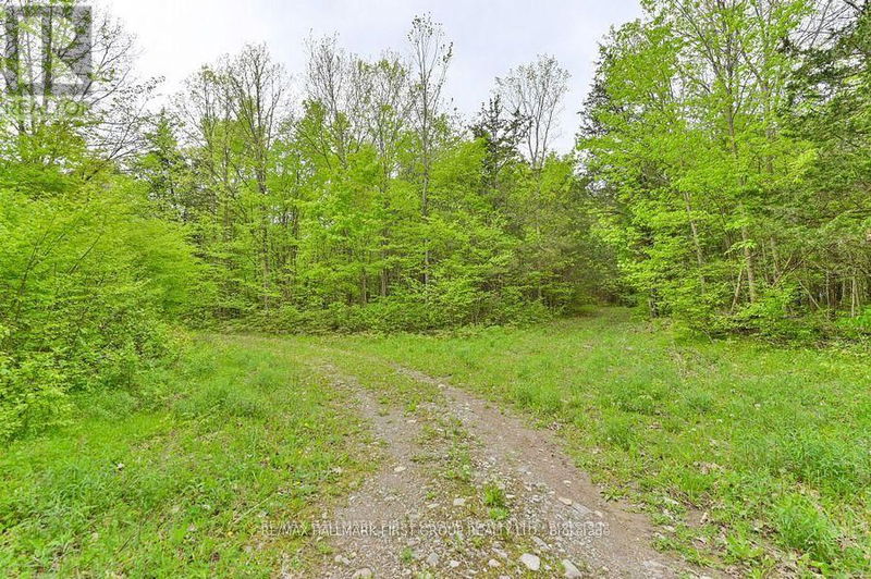 452B Cold Water Road  Stone Mills, K0K2L0 | Image 21