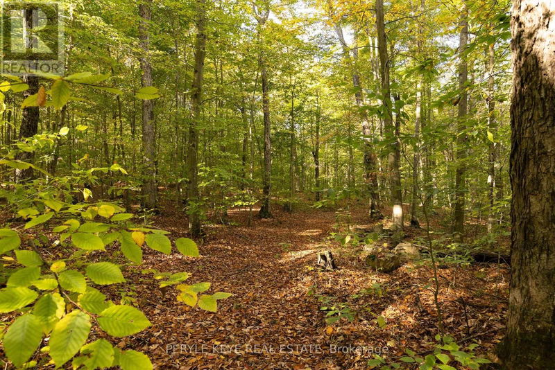 N/A South Menominee Lake Road  Lake of Bays, P1H2J3 | Image 15