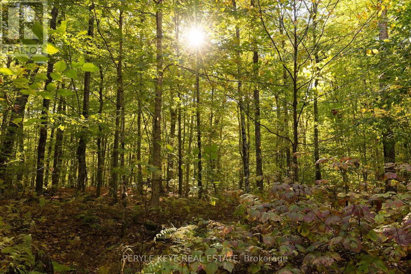 N/A South Menominee Lake Road  Lake of Bays, P1H2J3 | Image 18