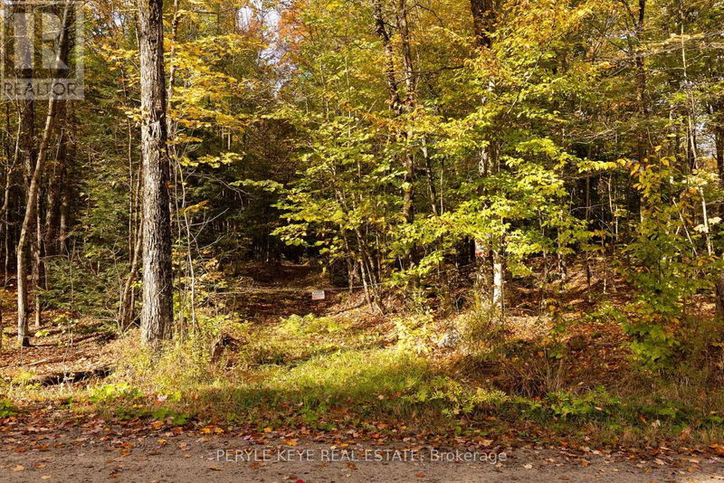 N/A South Menominee Lake Road  Lake of Bays, P1H2J3 | Image 6