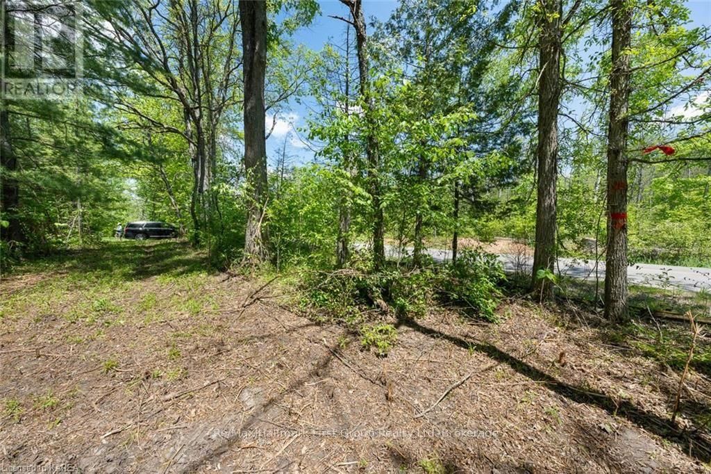 LOT 0 COUNTY ROAD 27 Image 36