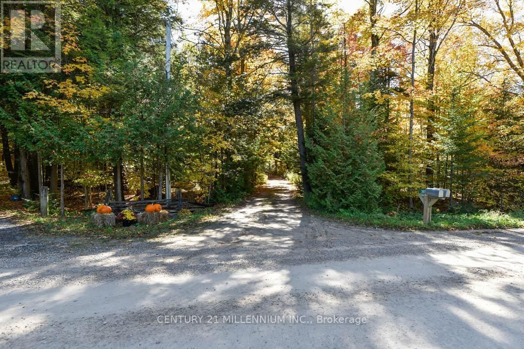 387192 20 SIDE ROAD Image 7