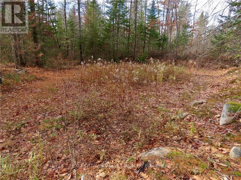 2411 PAUGH LAKE ROAD Image 4