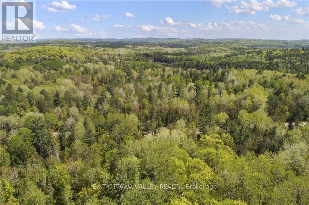 2411 PAUGH LAKE ROAD Image 7