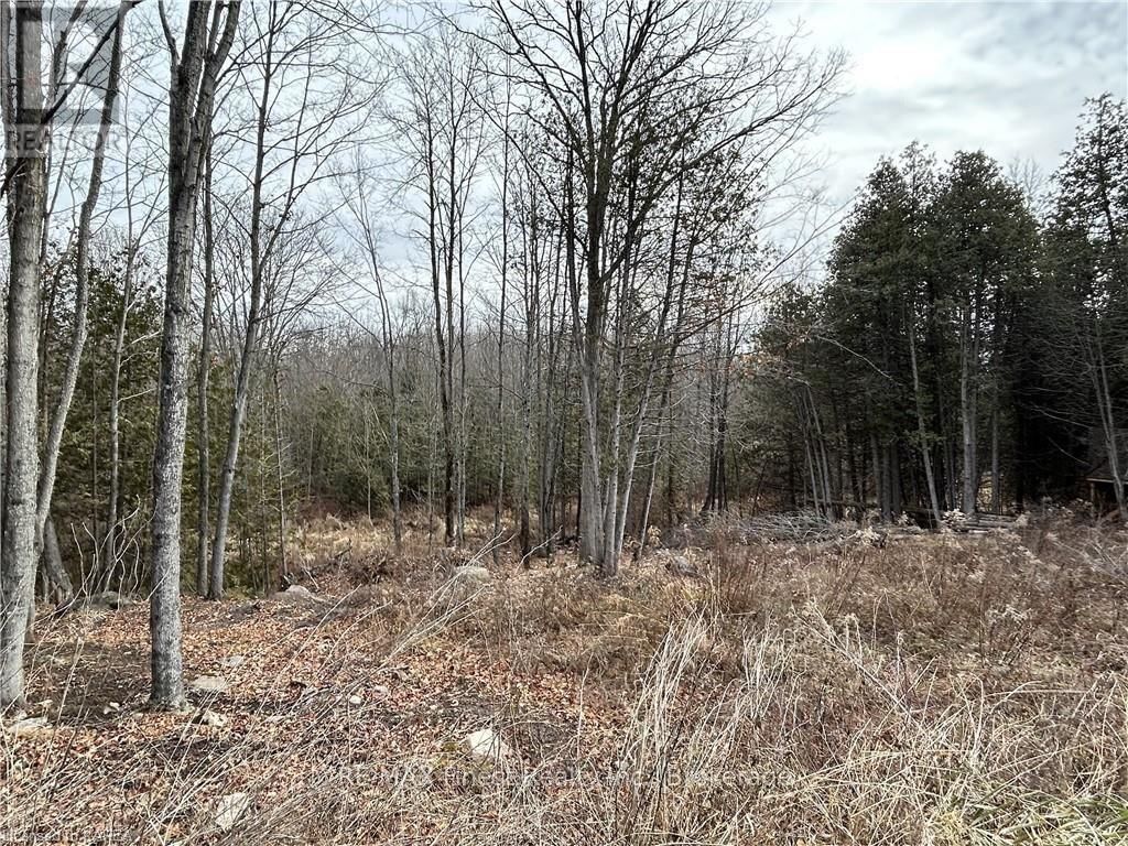 269 9TH CONCESSION ROAD Image 10