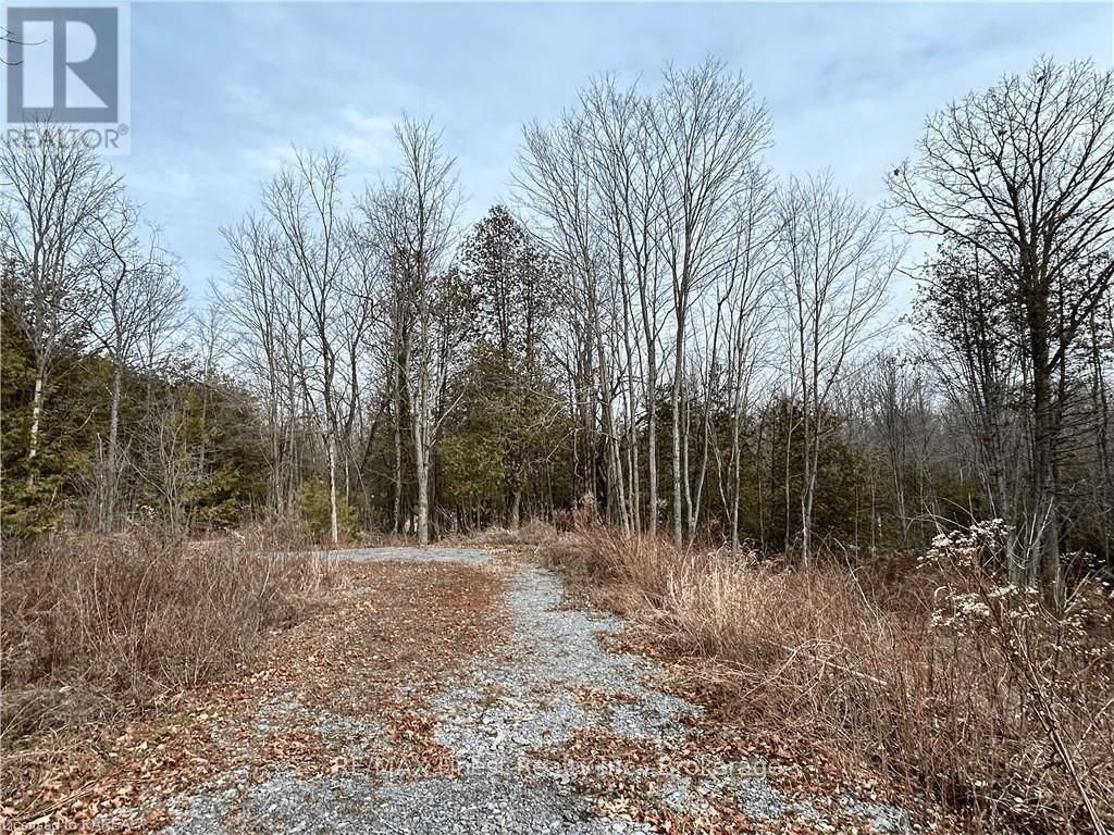 269 9TH CONCESSION ROAD Image 11