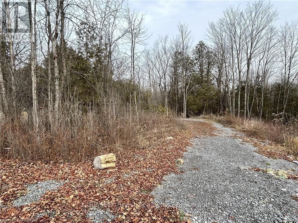 269 9TH CONCESSION ROAD Image 12