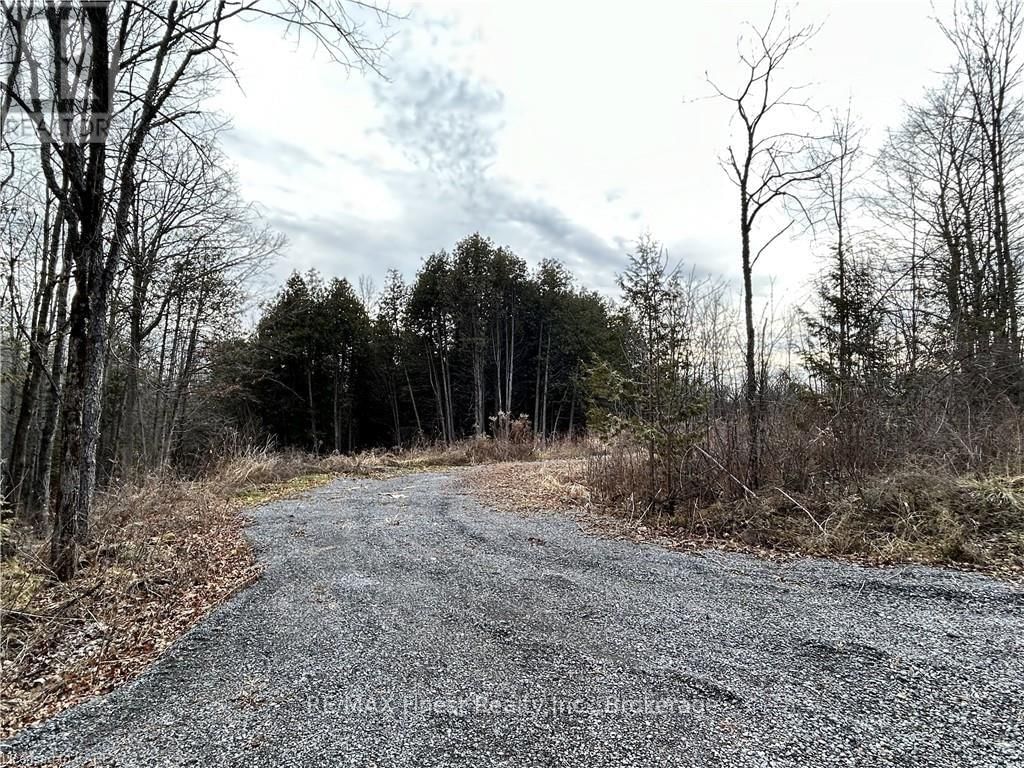 269 9TH CONCESSION ROAD Image 2