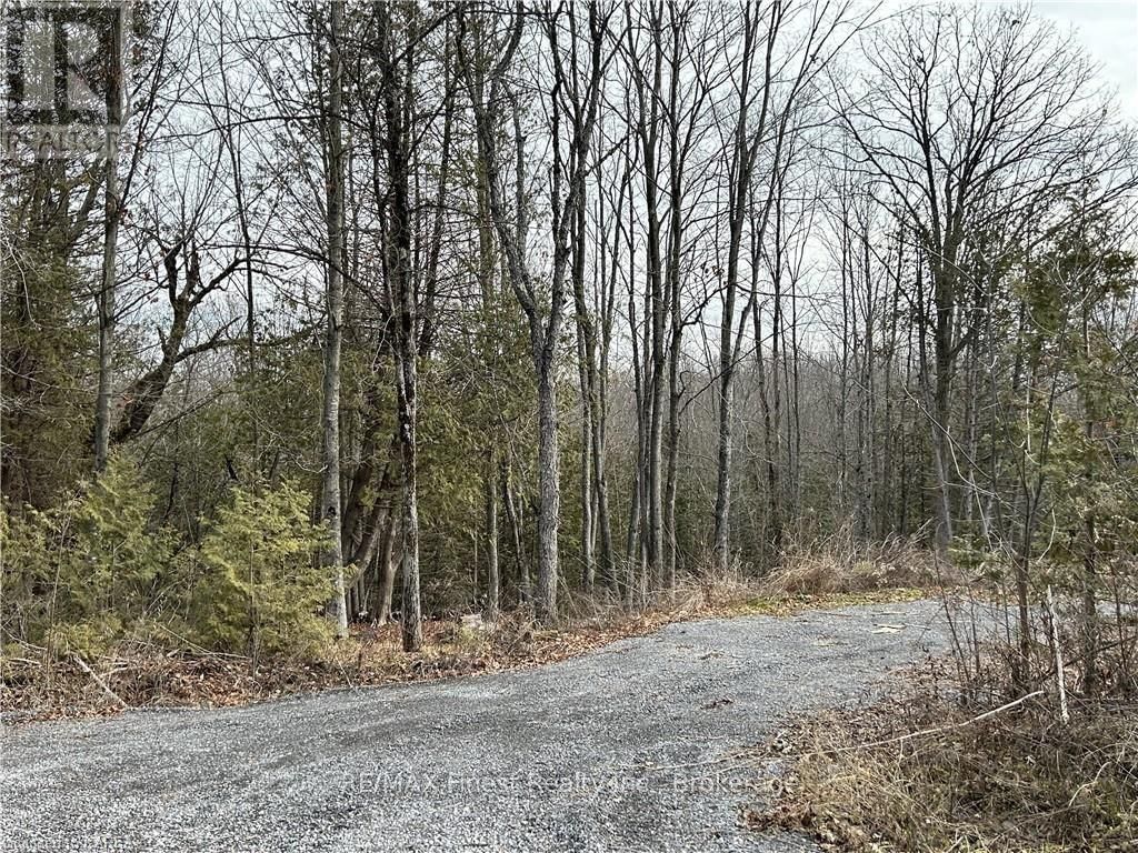 269 9TH CONCESSION ROAD Image 3