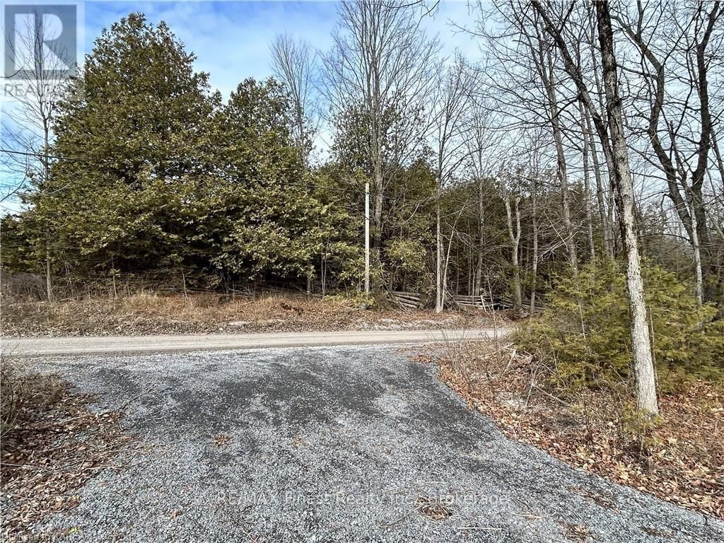 269 9TH CONCESSION ROAD Image 4