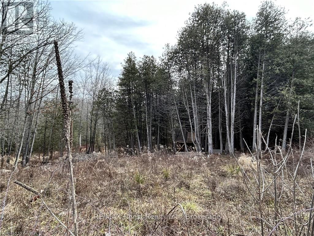 269 9TH CONCESSION ROAD Image 6