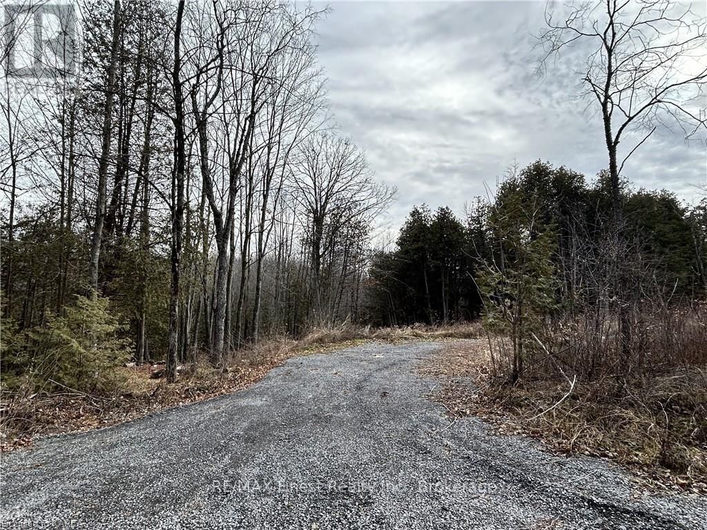 269 9TH CONCESSION ROAD Image 7