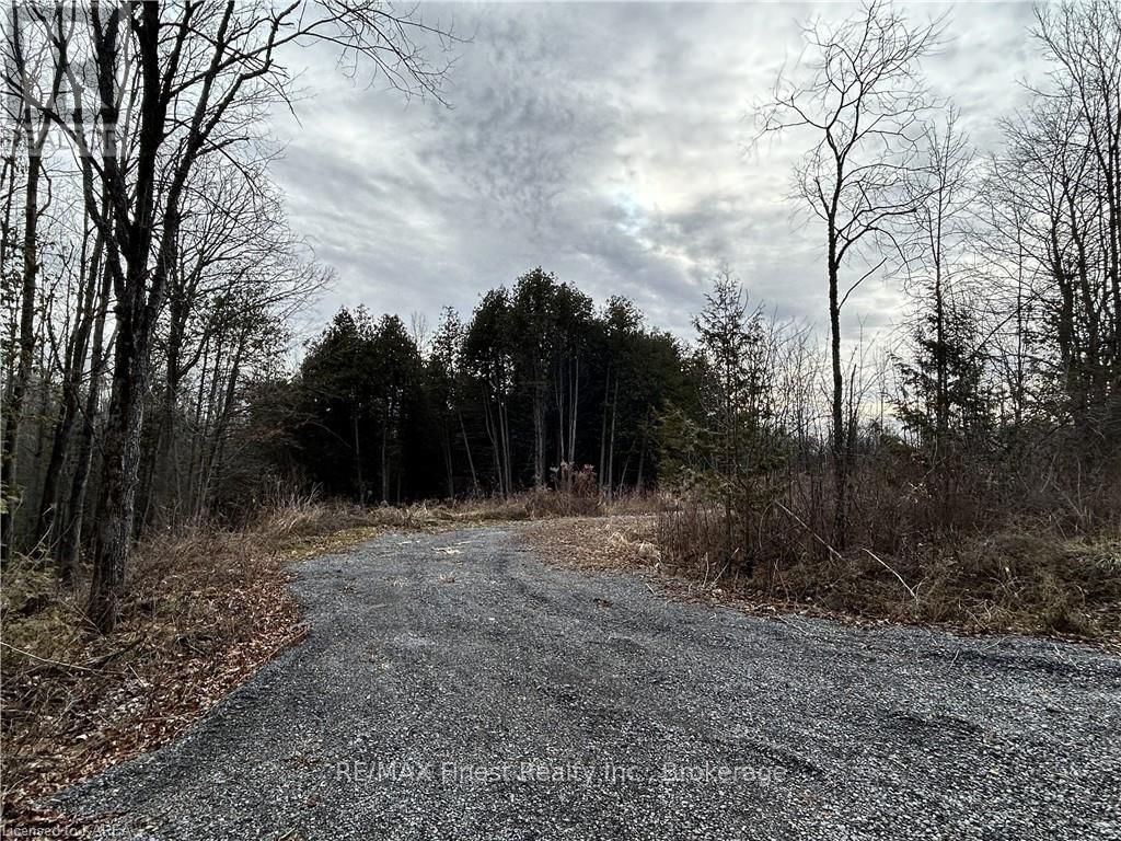 269 9TH CONCESSION ROAD Image 8