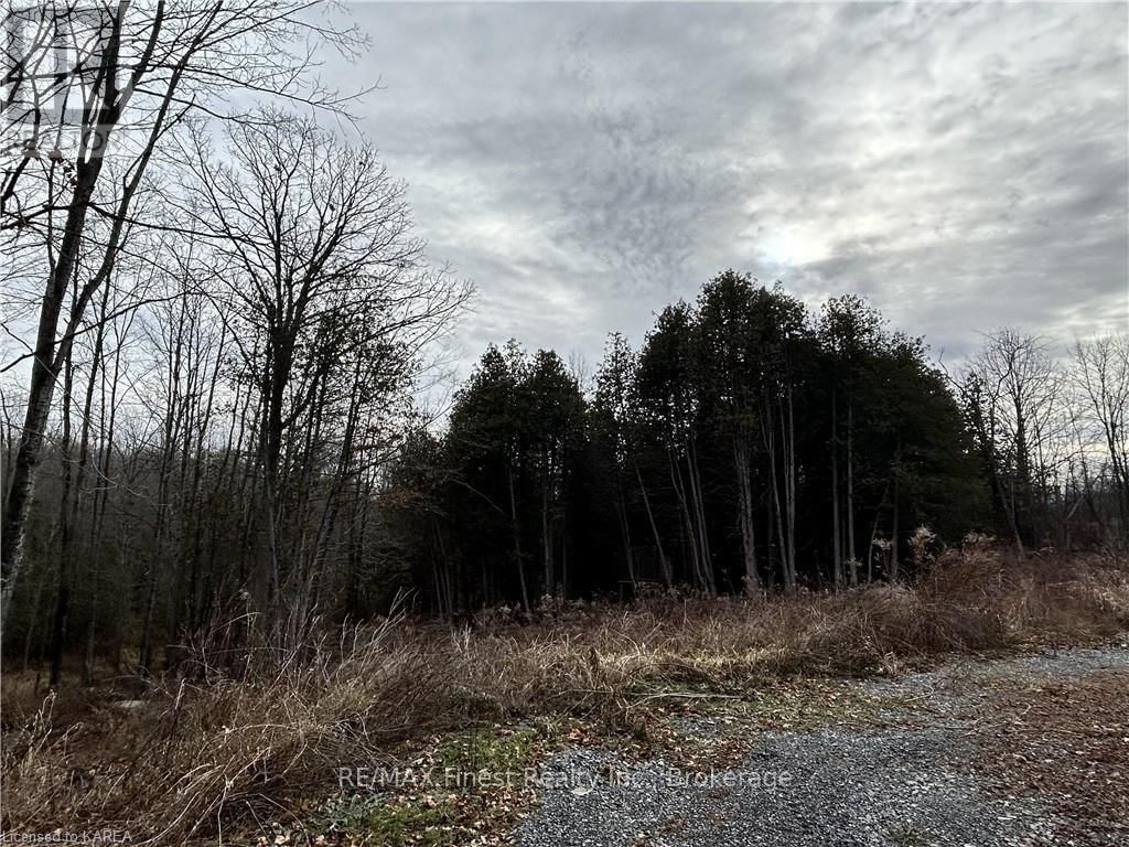 269 9TH CONCESSION ROAD Image 9