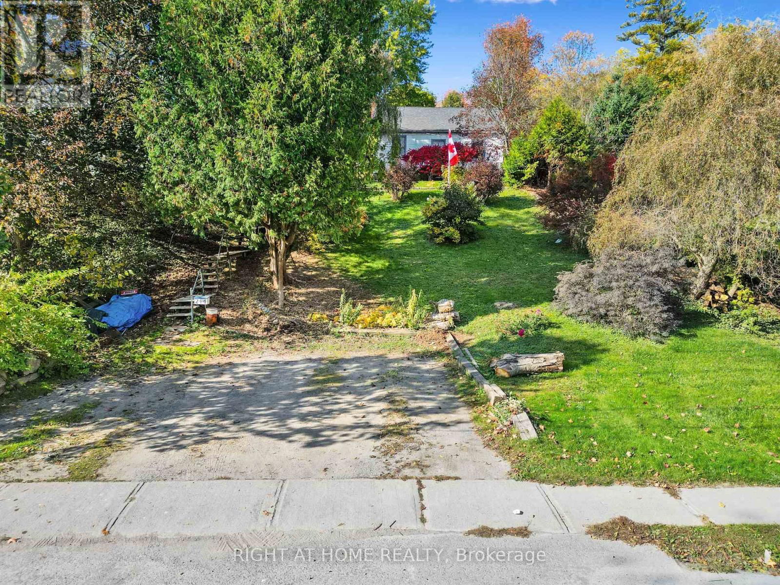 244 CAVAN STREET Image 6