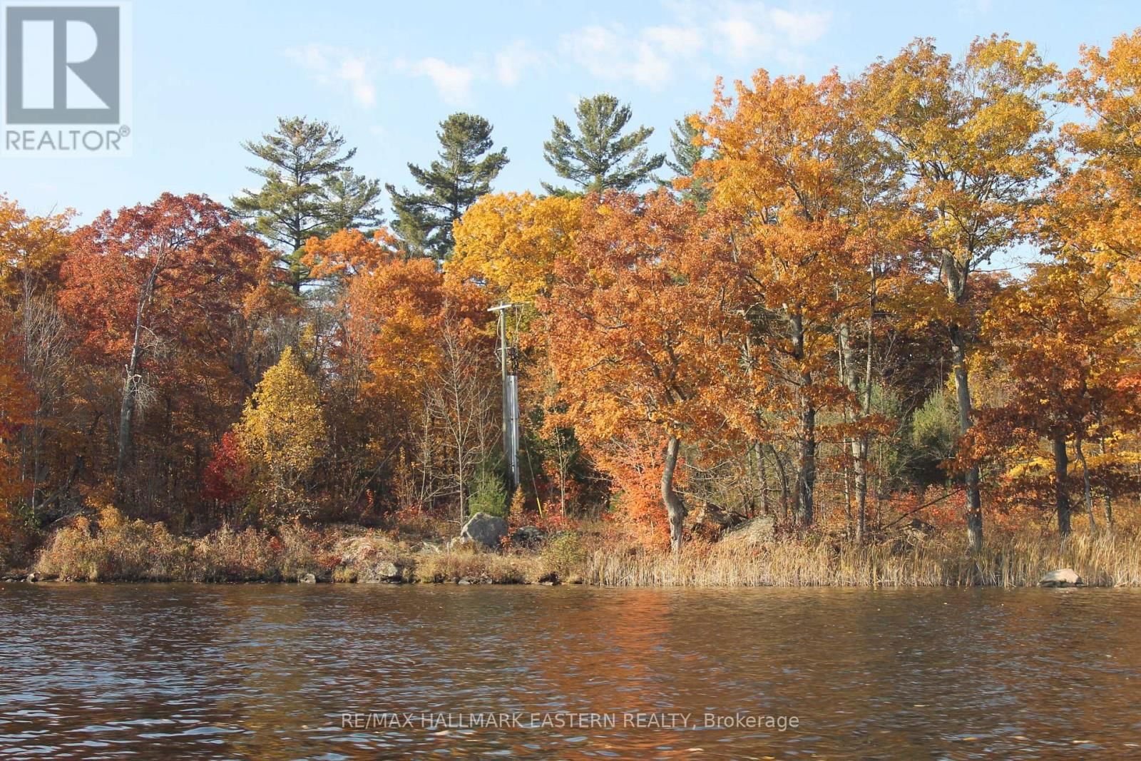 LOTS123 - C280 LOWER BUCKHORN LAKE Image 11