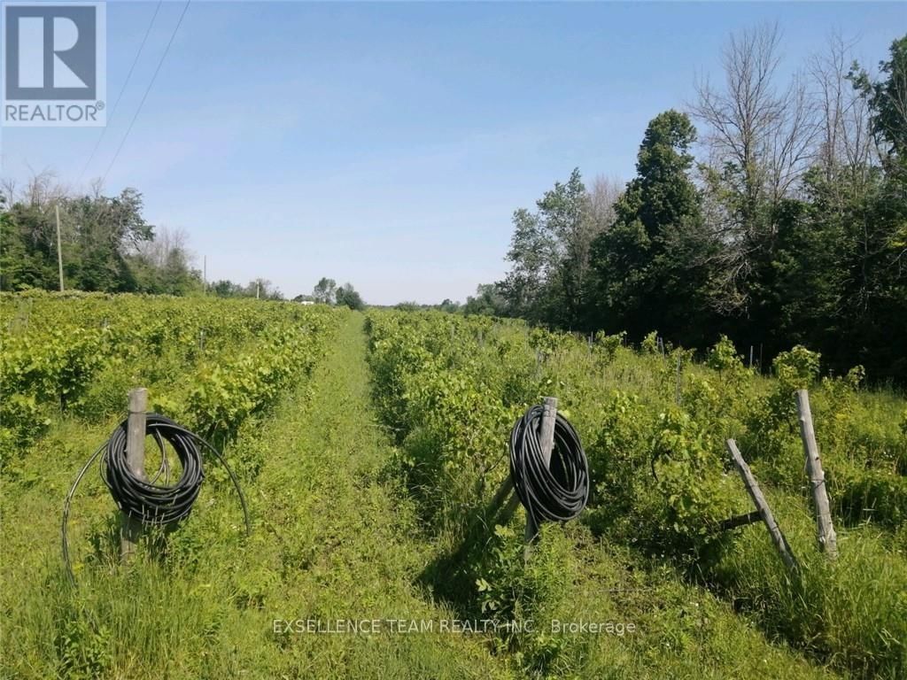 19307 KENYON CONCESSION ROAD 7 ROAD Image 1