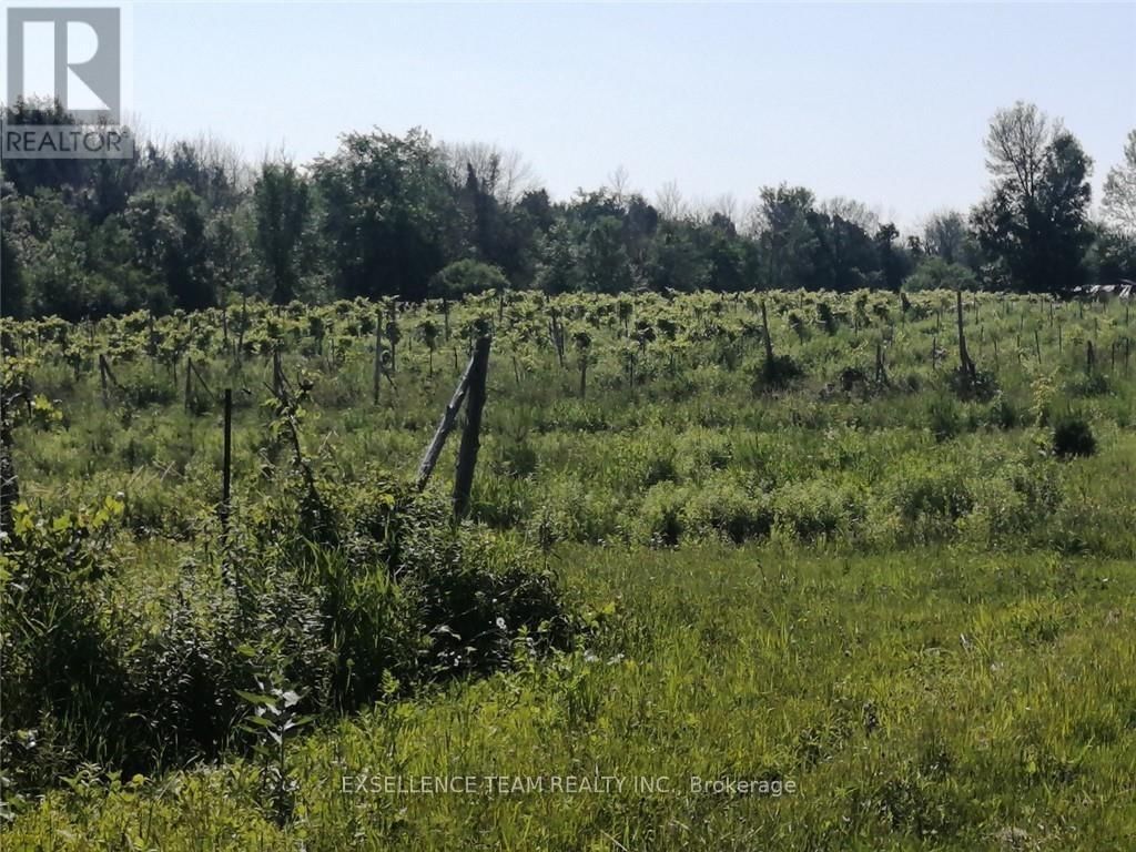 19307 KENYON CONCESSION ROAD 7 ROAD Image 8