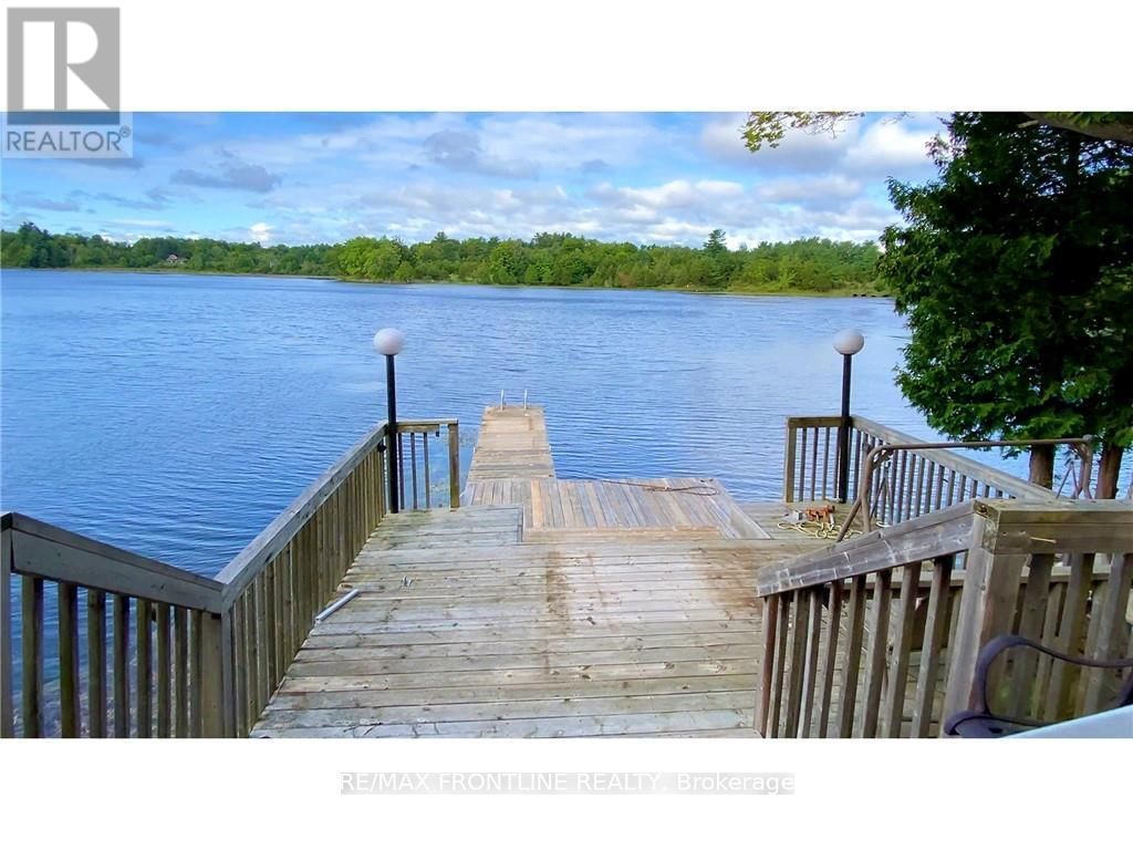 41 SAND-BIRCH Image 12
