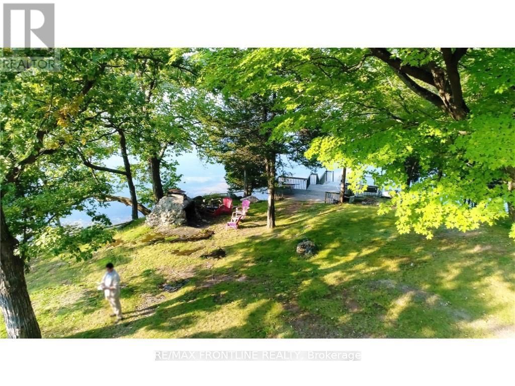 41 SAND-BIRCH Image 13